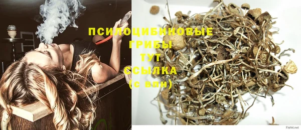 ГАЛЛЮЦИНОГЕННЫЕ ГРИБЫ Сафоново