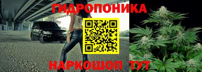 эйфоретик Заволжье