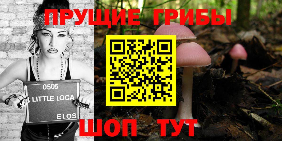 Галлюциногенные грибы Cubensis  Вход с VPN  Рубцовск 